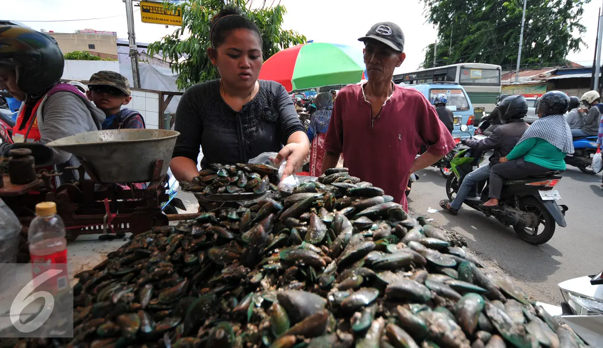 Pedagang kerang hijau saat melayani pembeli di pasar Kramat jati, Jakarta Timur, Kamis (31/12). Jelang malam tahun baru, warga banyak berburu kerang hijau untuk merayakan malam tahun baru. (Liputan6.com/Yoppy Renato)