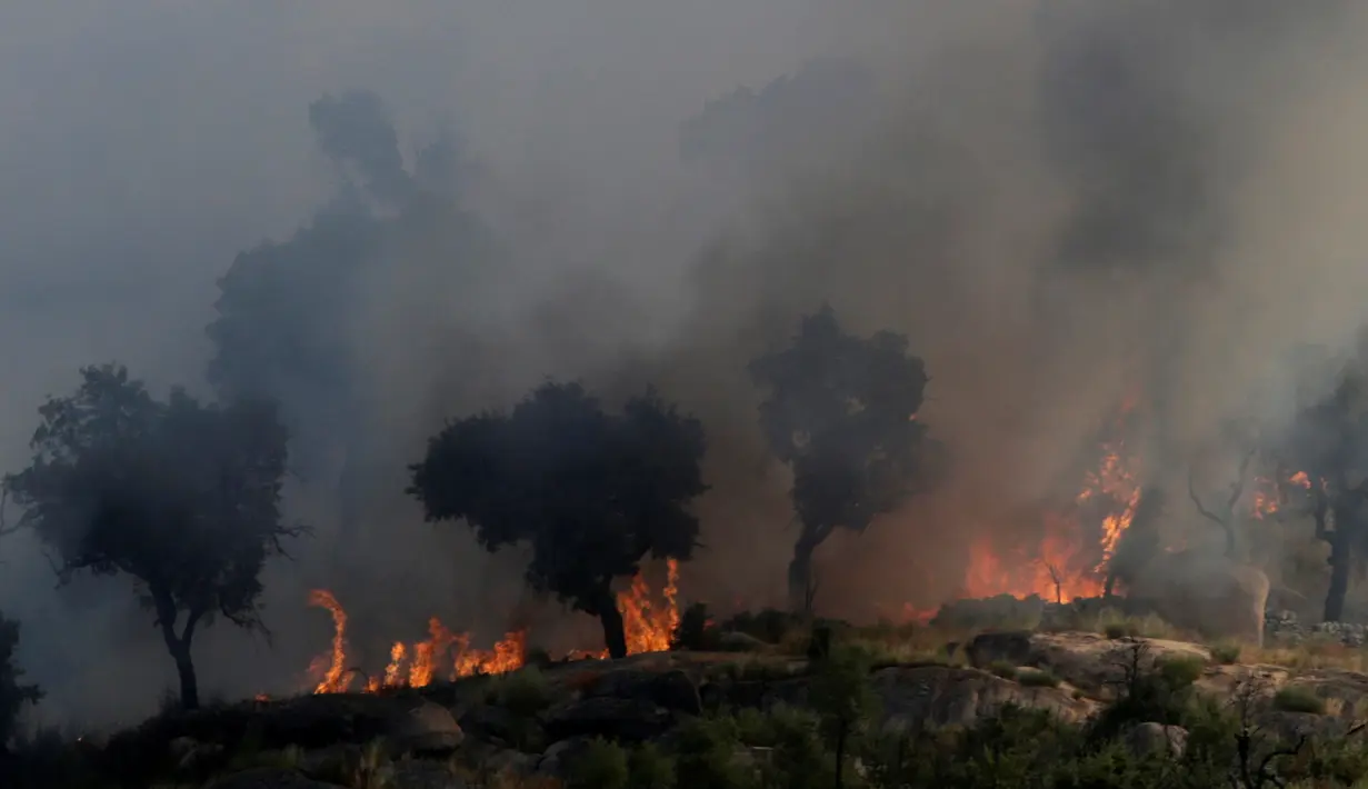 Kebakaran hutan terjadi di Lagoa, Portugal, Kamis (8/9). Dikabarkan lebih dari 100 ribu hektare hutan terbakar. (REUTERS / Miguel Vidal)