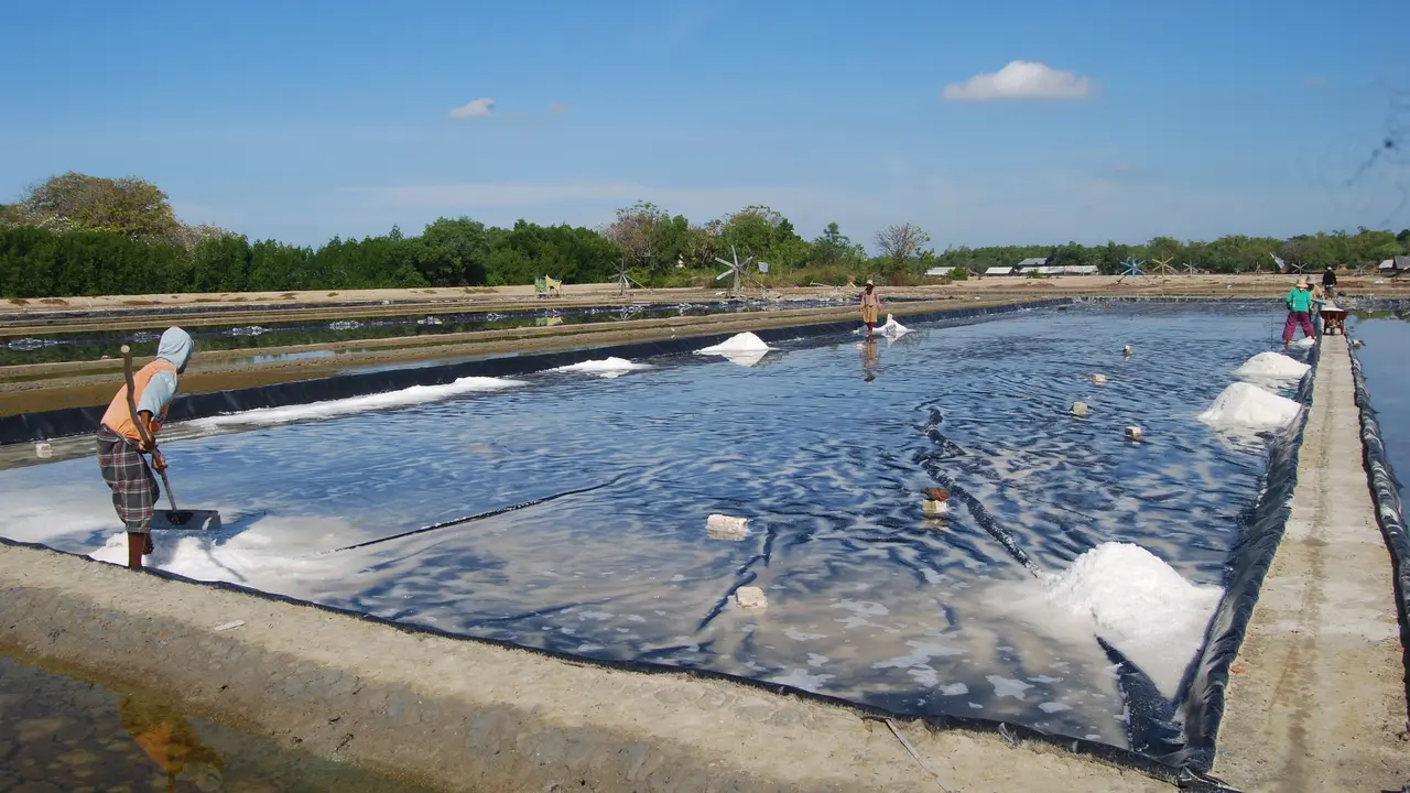 petani Garam