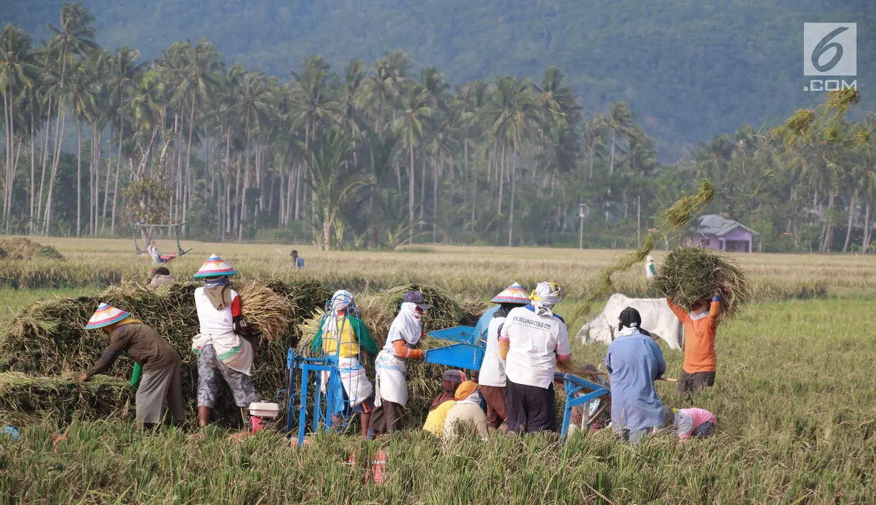 Sejumlah petani melakukan panen padi di sawah Desa Bube Baru, Kecamatan Suwawa, Kabupaten Bone Bolango, Gorontalo, Jumat (15/3). Mereka lebih memilih menggunakan tenaga manual untuk melakukan panen. (Liputan6.com/Arfandi Ibrahim)