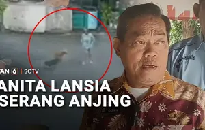 Jalan Kaki Seorang Diri, Wanita Lansia Diserang Anjing