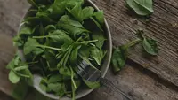 Cara Merawat Sayur Daun agar Tidak Cepat Layu Setelah Dipanen