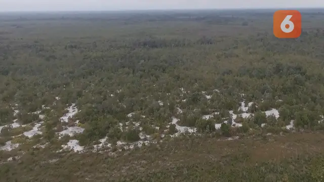 Hutan Anggrek Kenohan