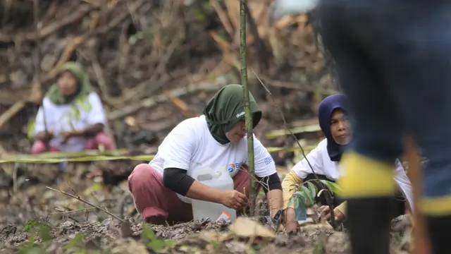 BRI Peduli Grow & Green Tanam 2.500 Bibit Pohon Durian di Berau