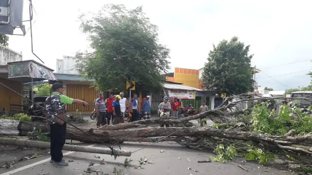 (Foto: Liputan6.com/Dian Kurniawan)