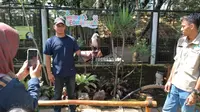 Salah satu pengunjung Taman Satwa Cikembulan Garut, Jawa Barat, tengah membawa seekor elang yang dipandu seorang petugas taman saat mencoba wahana baru ‘Animal Edutainment’. (Liputan6.com/Jayadi Supriadin)