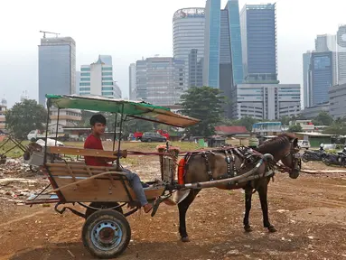 Pekerja mempersiapkan delman di kampung delman kawasan Menteng Dalam, Jakarta, Senin (27/9/2021). Para pekerja delman berharap pelonggaran PPKM membawa harapan mereka untuk kembali bekerja normal seperti biasanya. (Liputan6.com/Herman Zakharia)