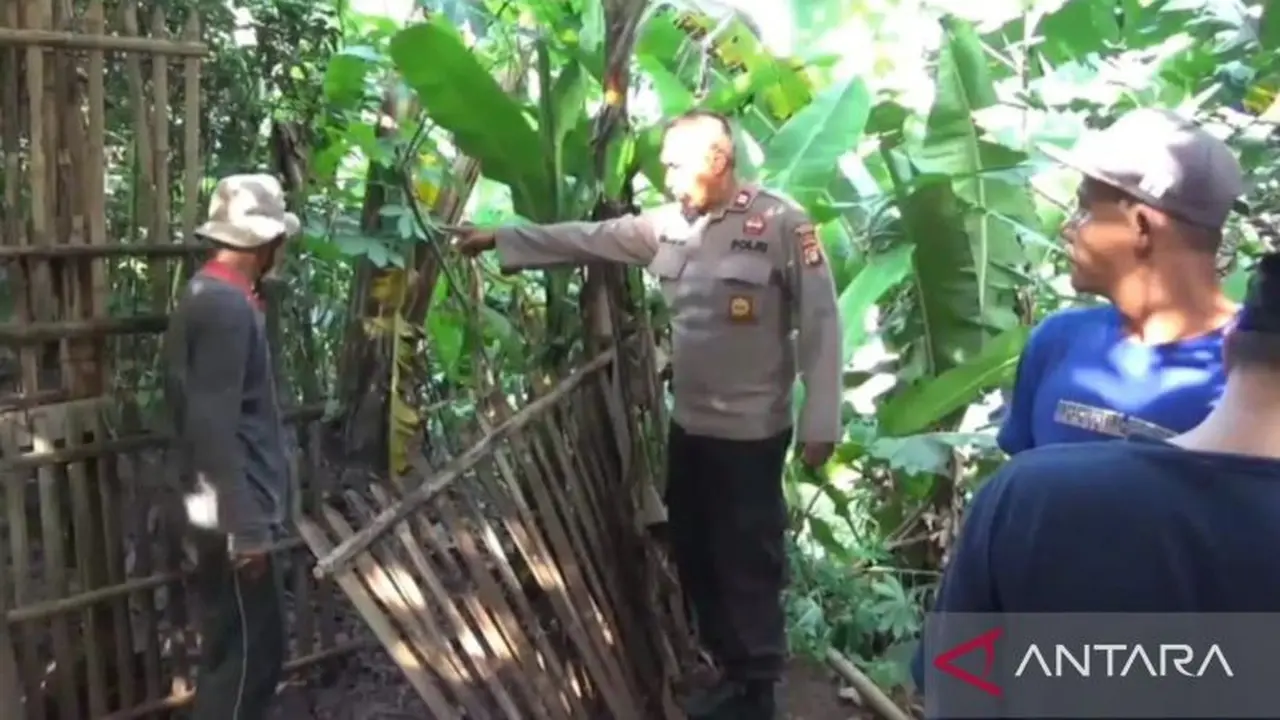 Warga Bekasi kehilangan kambing
