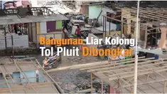 Bangunan liar di kolong tol Pluit, seberang Kalijodo ditertibkan. Warga diberikan waktu 1 x 24 jam untuk meninggalkan permukiman yang telah dihuni selama bertahun tahun. 