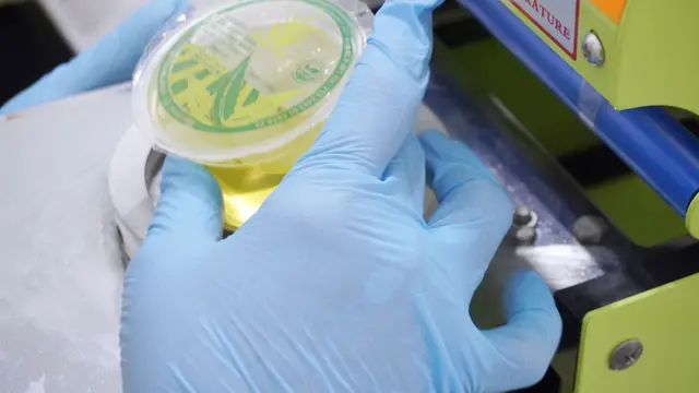 Produk nata de aloe vera yang diproduksi Sumarni