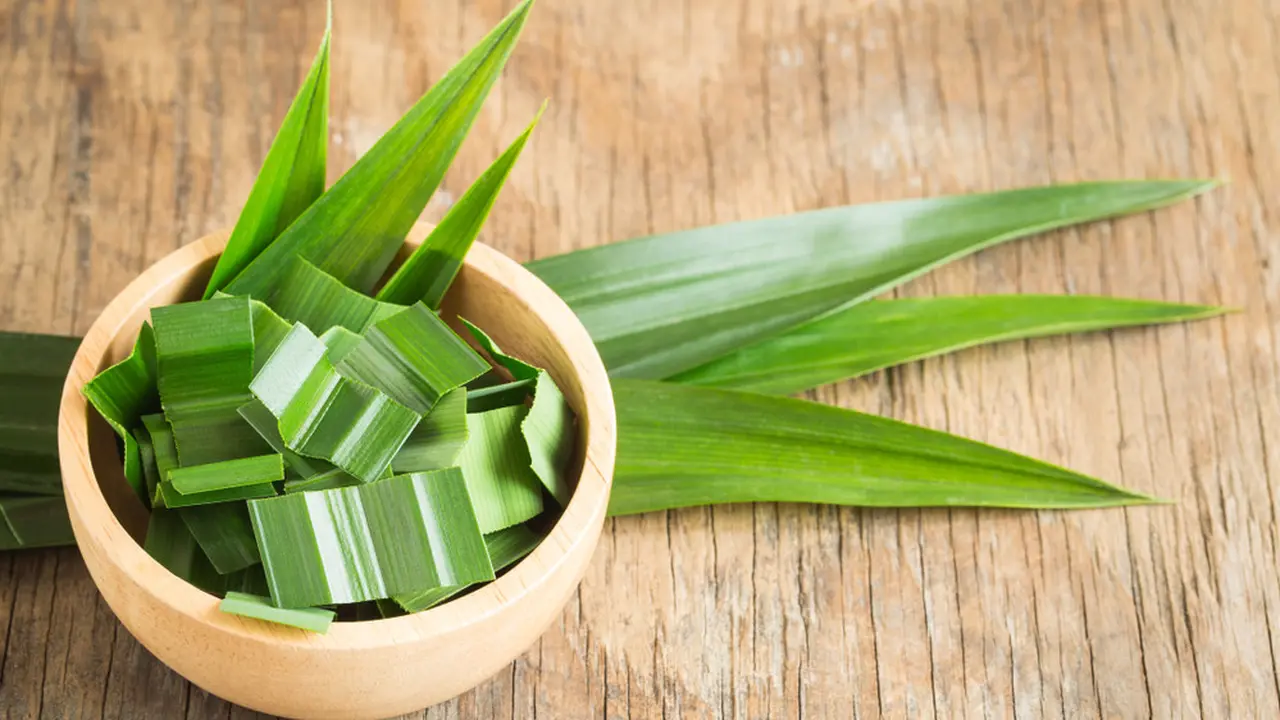 Manfaat lain Daun Pandan yang Berguna Bagi Kesehatan Wajah dan Kulit Kamu