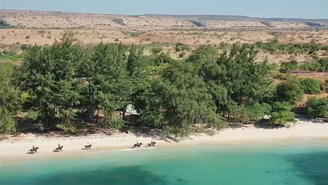 Pantai Ratenggaro, Wisatawan pun bisa berkuda di laut dan berkeliling pasir putihnya yang tampak seperti kristal. (Liputan6.com)