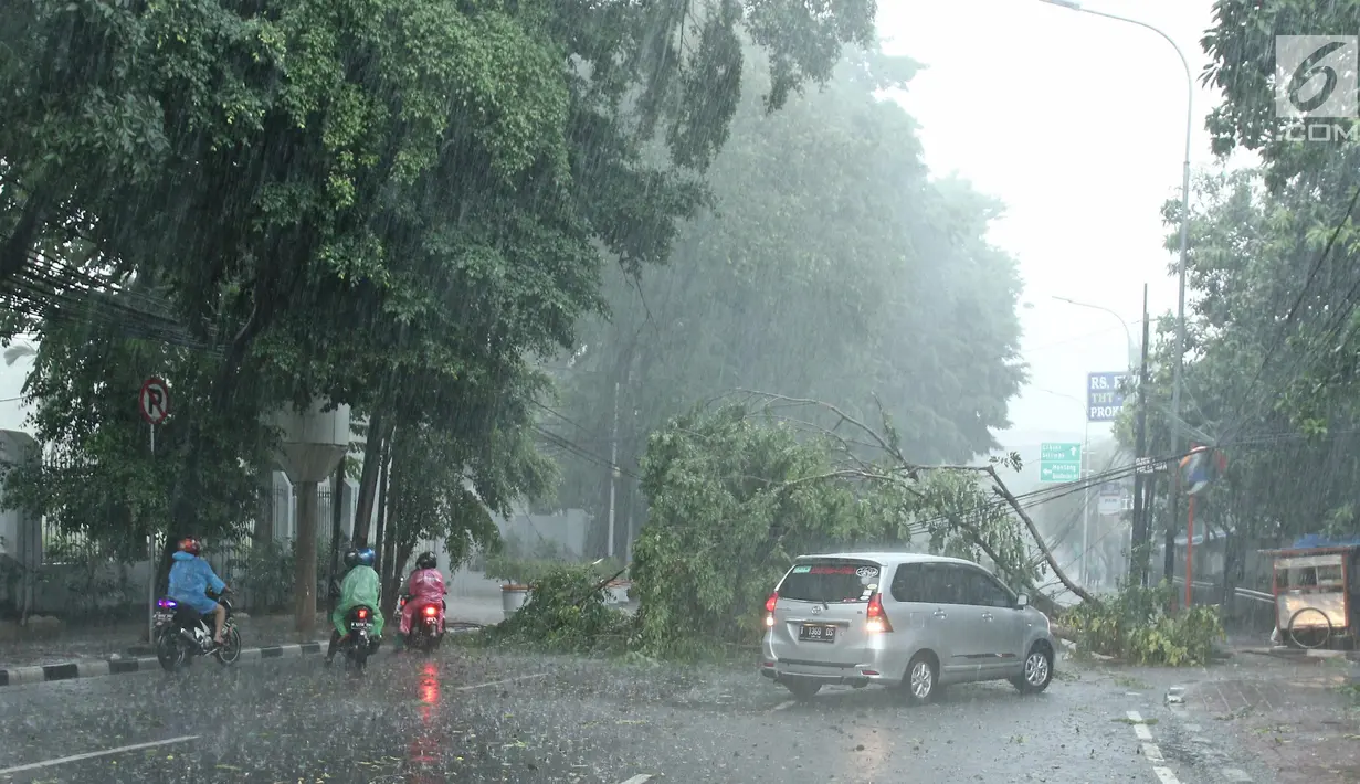 Kendaraan melintasi pohon tumbang yang menghalangi ruas Jalan Proklamasi, Menteng, Jakarta Pusat, Minggu (31/12). Hujan angin melanda Jakarta jelang malam pergantian tahun hingga membuat beberapa pohon bertumbangan. (Liputan6.com/Herman Zakharia)