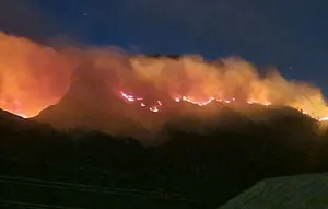 Kebakaran Lereng Ijen Meluas, Hutan Lindung dan Cagar Alam Terancam