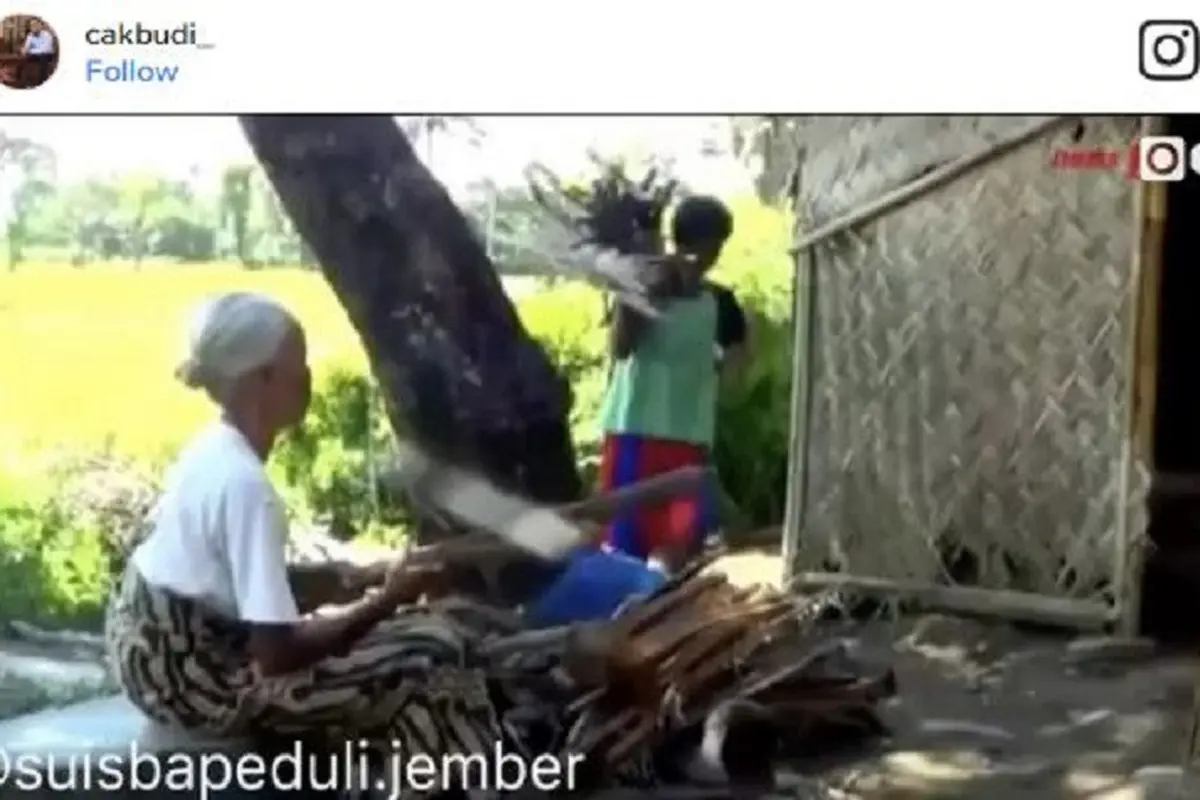[Bintang] Kisah Pilu