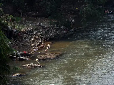 Seorang anak bermain di aliran Sungai Ciliwung, Kota Depok, Jawa Barat, Senin (27/7/2020). Setiap tanggal 27 Juli diperingati sebagai Hari Sungai Nasional, namun ironisnya kondisi sungai Ciliwung masih terlihat banyak ceceran sampah, terutama plastik. (Liputan6.com/Helmi Fithriansyah)