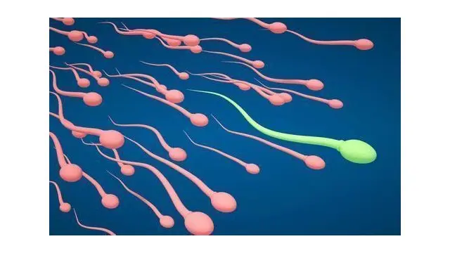 Ada beberapa mitos tentang sperma. Ada yang benar, ada juga yang hanya isapan jempol belaka. 