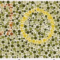 Melalui 7 gambar berikut ini, kamu bisa melakukan tes terhadap kepekaan warna yang ditangkap oleh matamu.