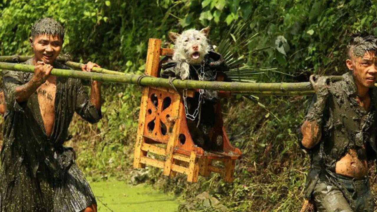 Festival Tradisional Ini Perlakukan Anjing Bak Raja