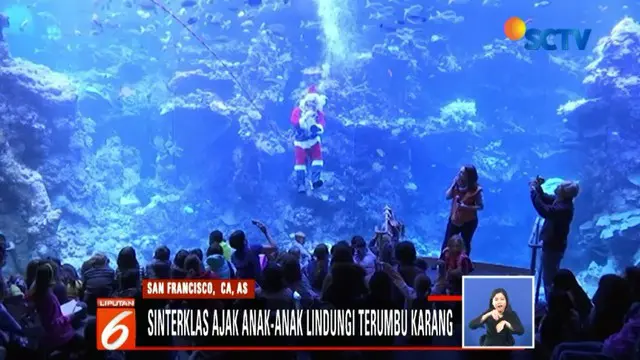 Aksi Penyelam Berkostum Sinterklas di Akuarium Raksasa Jelang Natal