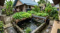 7 Ide Memanfaatkan Pekarangan Kecil agar Mengurangi Biaya Belanja Dapur