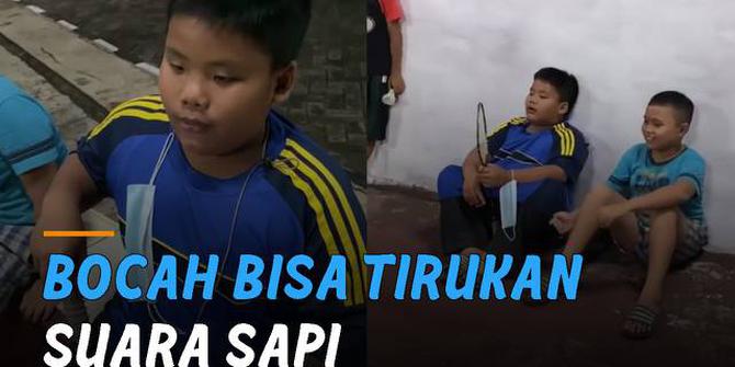VIDEO: Bisa Tirukan Suara Sapi, Bocah Ini Bikin Ngakak