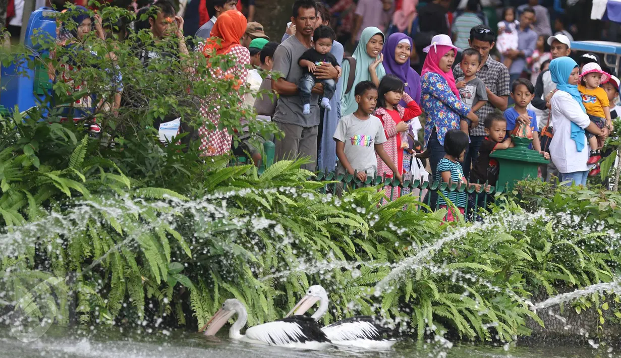 Sejumlah warga melihat burung flamingo saat berwisata ke Taman Margasatwa Ragunan, Jakarta, Kamis (7/7). Sampai pukul 15.00 WIB, jumlah pengunjung Ragunan pada hari kedua Lebaran ini sekitar 104.000 orang. (Liputan6.com/Immanuel Antonius)
