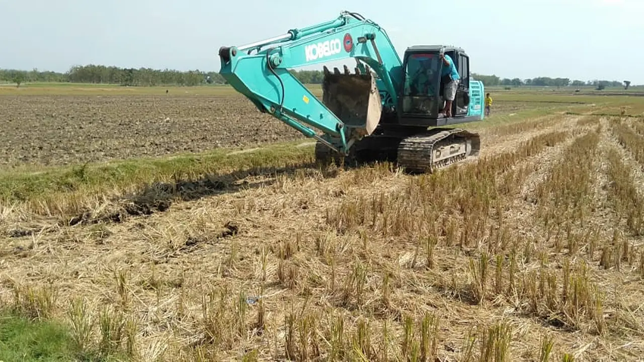 Petani 2 desa di Blora menolak beroperasinya tambang pasir di tengah sawah produktif. (Foto: Liputan6.com/Ahmad Adirin)