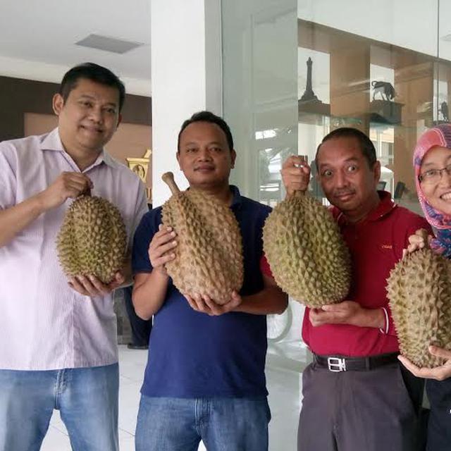 Unduh 92 Gambar Durian Bawor Kaki Tiga Paling Bagus Gratis HD