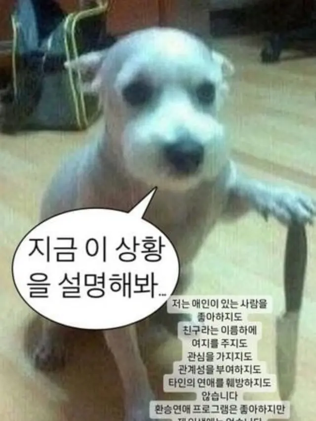 Anjing Bawa Pisau di Instagram Stories Han So Hee Saat Bantah Rumor Berpacaran dengan Ryu Jun Yeol Mantan Hyeri Mendadak Viral (instagram.com/xeesoxee)