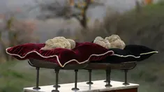 Jamur Truffle ditampilkan sebelum lelang internasional di Istana Grinzane, Italia, Minggu (13/11). Penampilannya memang tidak menarik, tetapi truffle tercatat sebagai jamur termahal di dunia saat ini. (REUTERS/Stefano Rellandini)