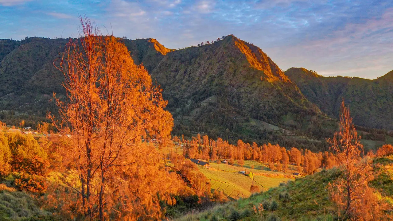 Pesona Kilau Matahari Pagi di Bromo yang Tak Pernah Kehilangan Pesona