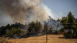 Hingga Minggu (27/7/2025), otoritas Yunani masih berjibaku menghadapi kebakaran hutan yang melanda berbagai wilayah. (Angelos TZORTZINIS/AFP)