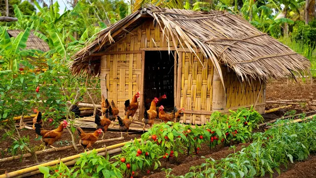 Model Kandang Ayam Bambu Kombinasi Kebun di Lahan 2x3 (Foto: Reve.com)
