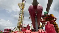 Pertamina akan Naik Kelas Jika Kelola Blok Mahakam