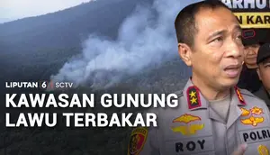 Api Melahap 100 Hektare Lereng Lawu, Pemadaman Terkendala Medan Terjal