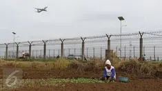 Seorang warga tengah mengarap sawah di Tangerang, Jumat (6/1). Sayur yang ditanami tersebut nantinya akan dijual di beberapa pasar di wilayah Tangerang. (Liputan6.com/Angga Yuniar)