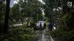 Petugas Dinas Kebersihan dan Pertamanan memotong pohon yang tumbang akibat hujan deras di kawasan jalan Sutan Syahrir, Jakarta, Kamis (22/11). Tumbangnya pohon tersebut disebabkan hujan deras yang melanda Jakarta siang tadi. (Liputan6.com/Faizal Fanani)