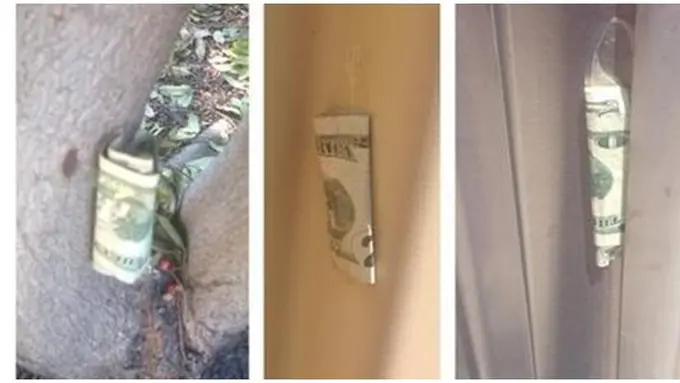 Foto: copyright kindnessblog.com