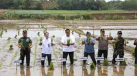 Wamentan Sudaryono Pastikan Ketersediaan Pupuk untuk Produksi di Oktober Aman