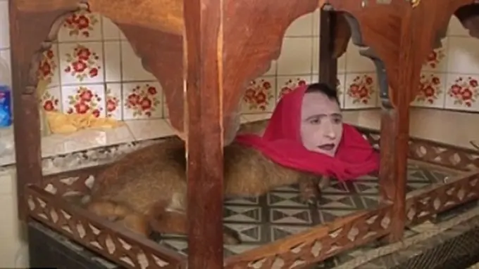 Photo copyright Dailymail.co.uk