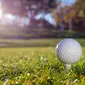 Ilustrasi Golf. Photo by Kindel Media from Pexels