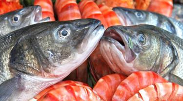 Ciri Ciri Ikan Yang Masih Segar Dan Layak Dimasak Lifestyle Fimela Com