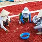 Ilustrasi petani cabai. Photo by Văn Long Bùi/pexels