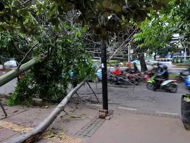 [FOTO] Diterpa Angin Kencang Beberapa Pohon di Sudirman Tumbang 