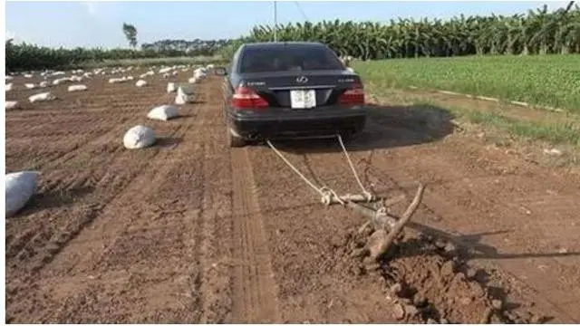 6 Potret Bajak Sawah Pakai Mobil Mewah Ini Nyeleneh, Pengganti Kerbau