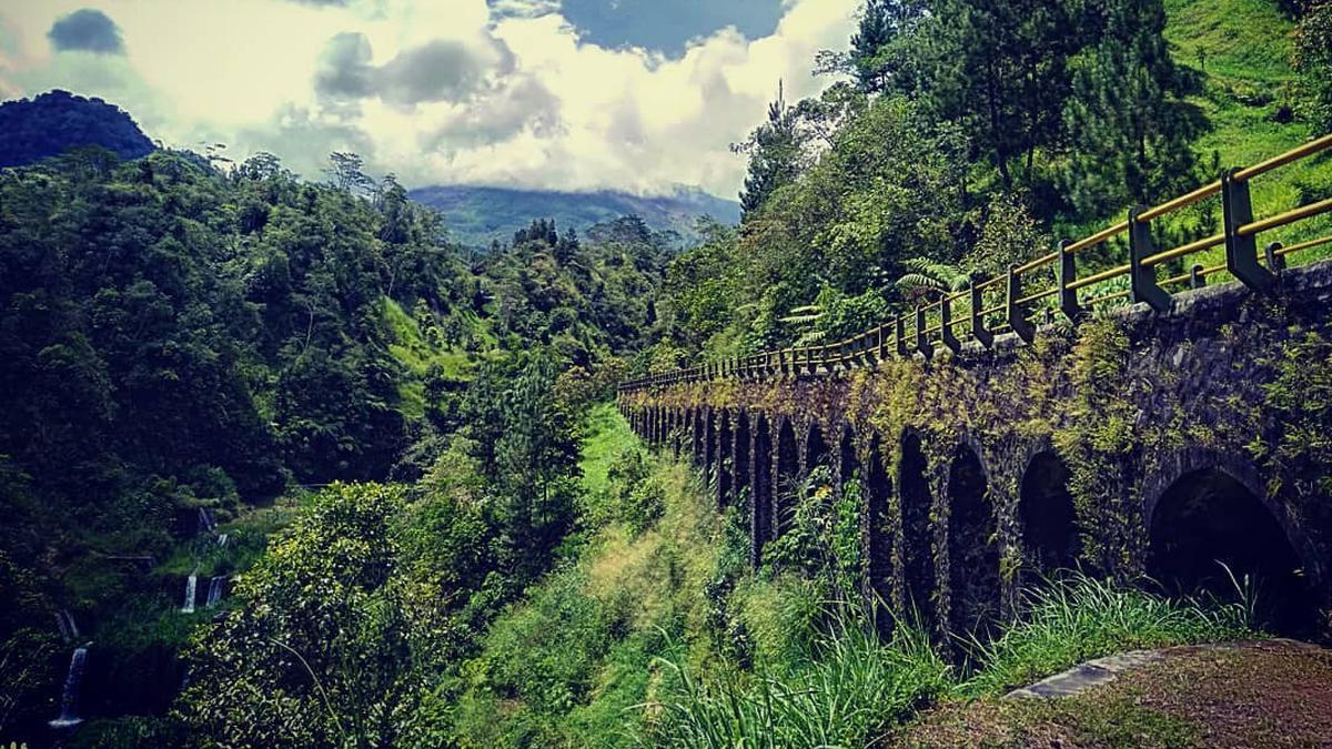 7 Rekomendasi Tempat Makan Dekat Plunyon Kalikuning Yogyakarta 2026 dengan Suasana Alam