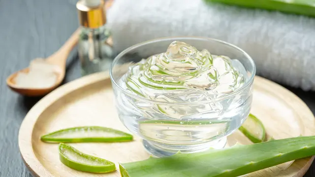 Aloe Vera
