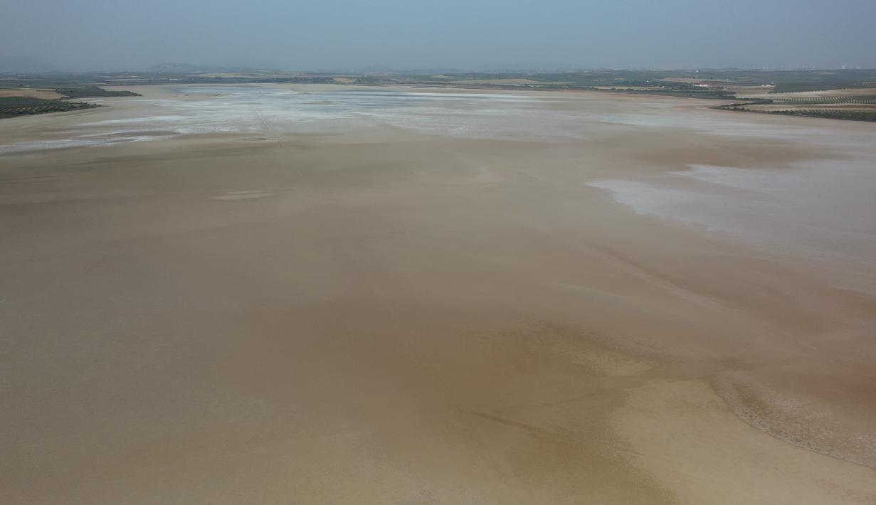 Menurut layanan cuaca Kekeringan berkepanjangan di lahan basah selatan yang terkenal di Spanyol telah memaksa flamingo menetaskan anak ayam di tempat lain. (AFP/Jorge Geurrero)