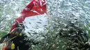 Penyelam hormat saat proses pengibaran bendera Merah Putih di dalam aquarium Ocean Dream Samudra, Ancol, Jakarta (17/8). Beragam acara  disiapkan Taman Impian Jaya Ancol pada HUT RI ke-71 ini. (Liputan6.com/Immanuel Antonius)